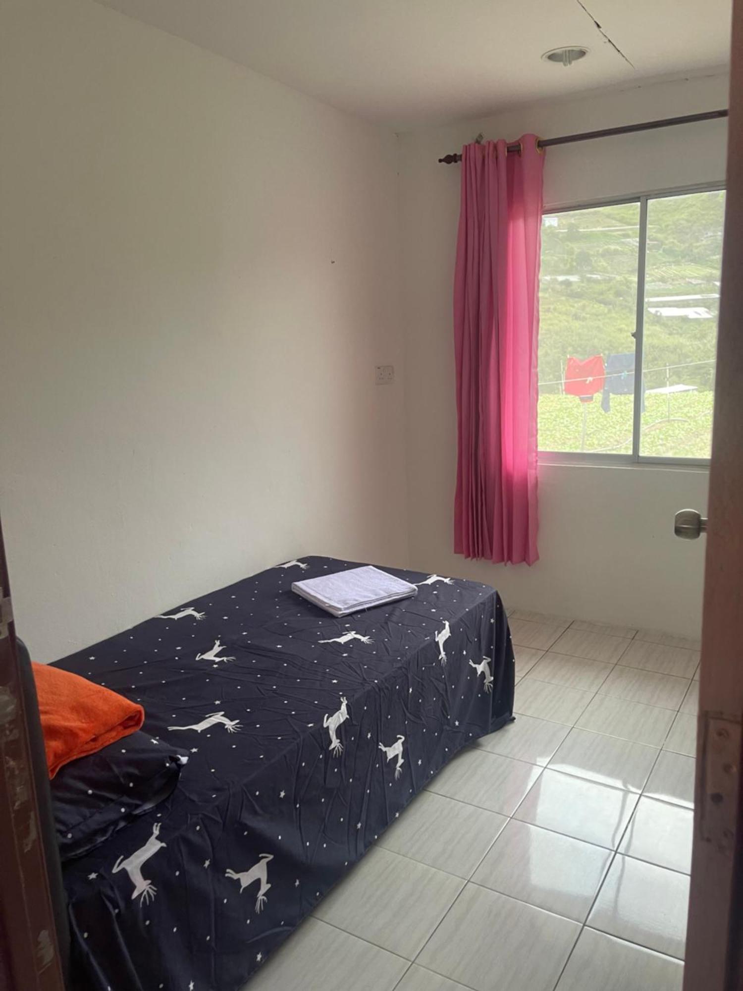 Pink Homestay *