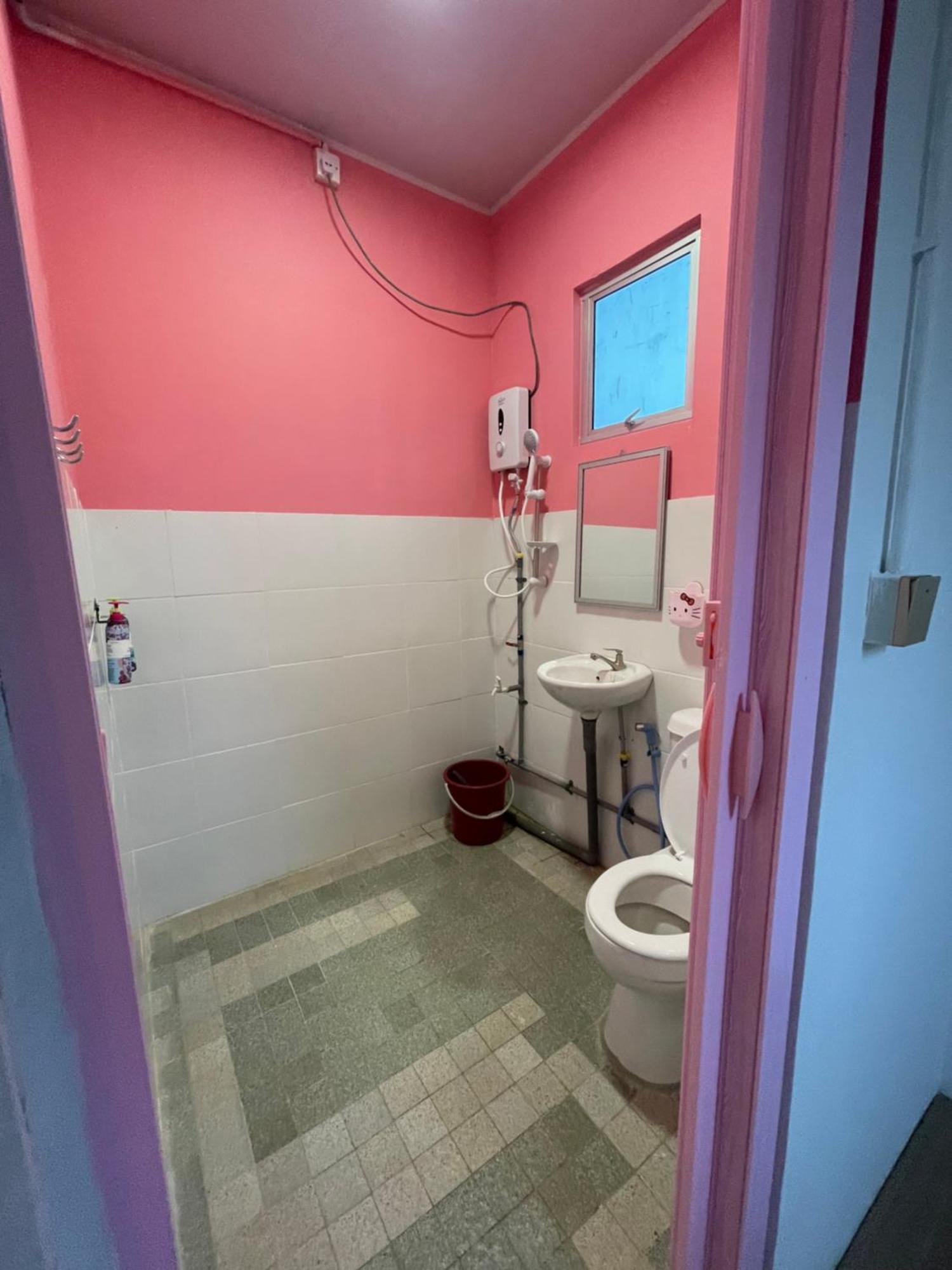 Pink Kundasang
