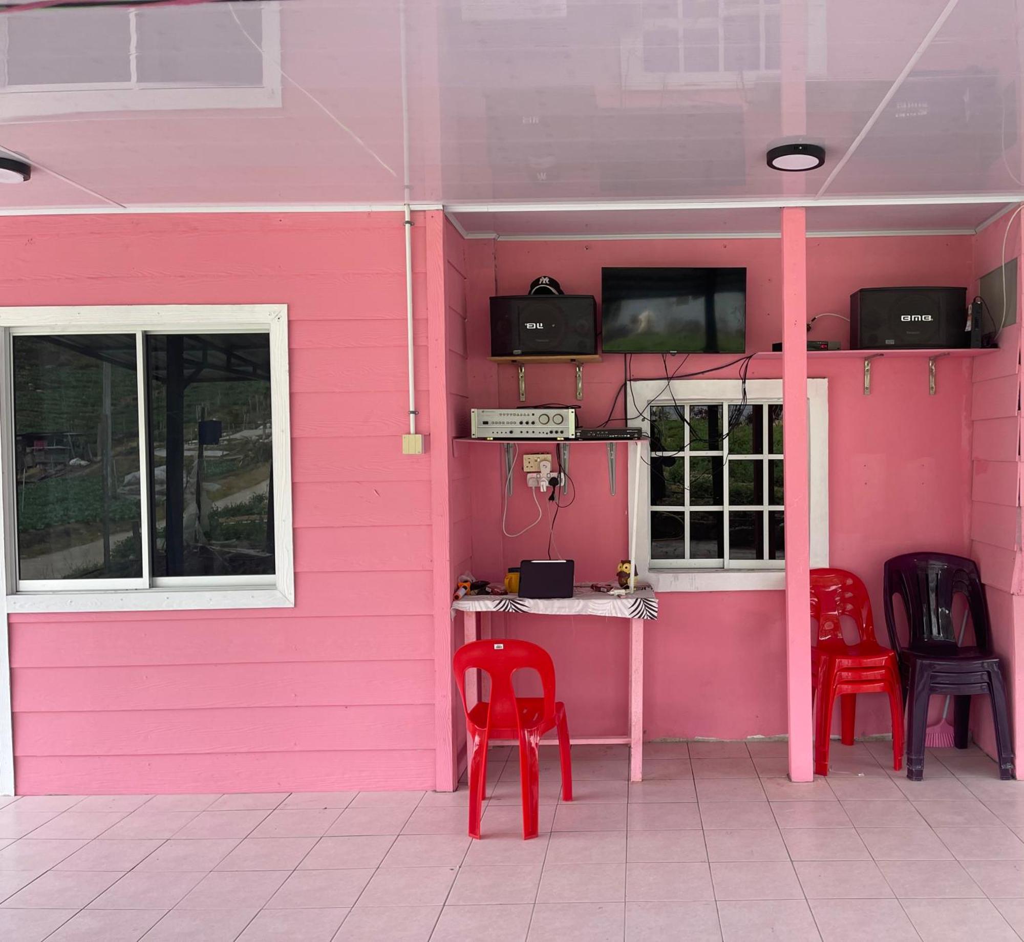 Pink * Kundasang